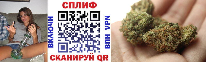 дарк нет клад  Себеж  Каннабис сатива 